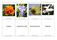 Blumen-Memo-Aufdeckspiel-10.pdf